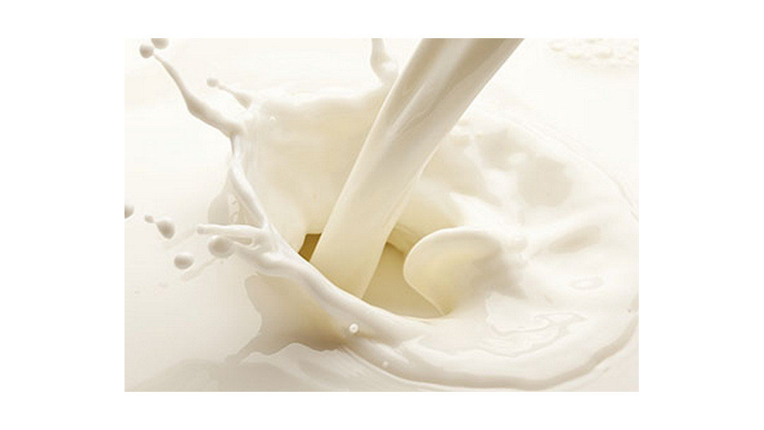 Cream 40 / Raw Milk / Skimmed / Sweet Whey Concentrate 32-36% / Skimmed Milk Concentrate 36