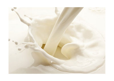 Cream 40 / Raw Milk / Skimmed / Sweet Whey Concentrate 32-36% / Skimmed Milk Concentrate 36