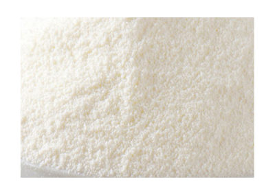 Buttermilk Powder